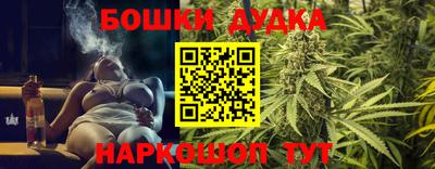 сатива Краснодар