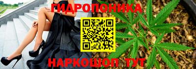 стафф Анжеро-Судженск