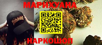 сатива Краснодар
