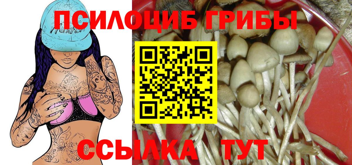 Псилоцибиновые грибы Magic Shrooms Кашира