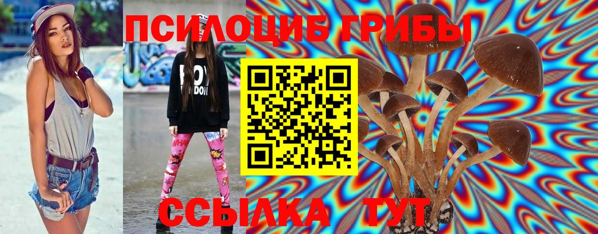 Псилоцибиновые грибы мухоморы  Вход с VPN  Кашира 